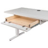 Alexis Lift Desk