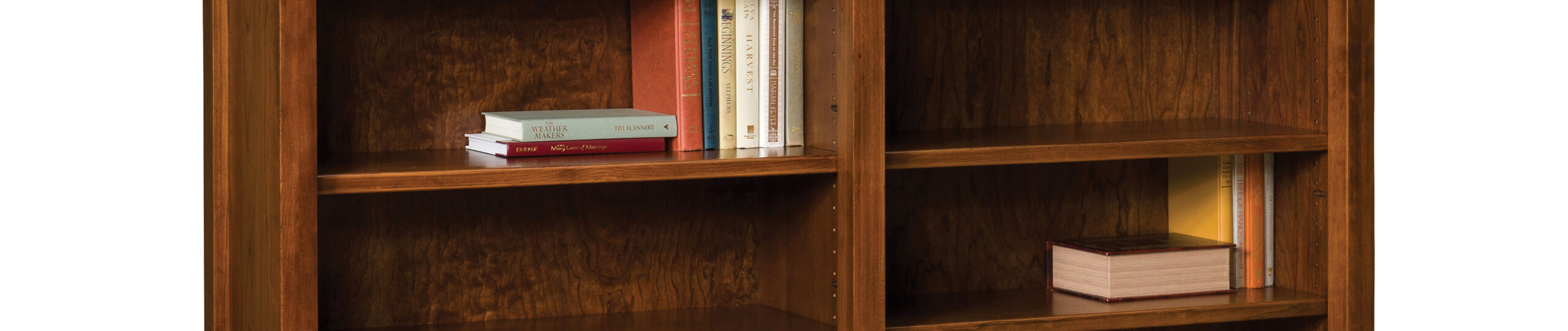 Artesa Bookcase