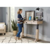 Craftsman Desk