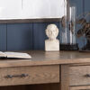 Houston Desk