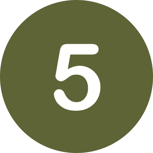 icon 5