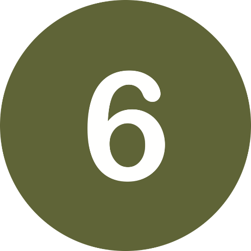 icon 6